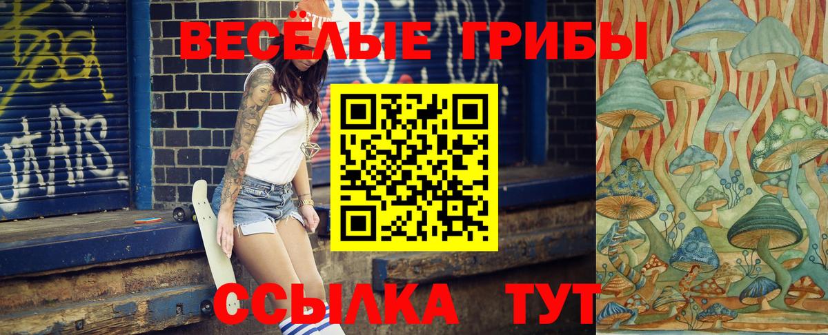 Реж  Галлюциногенные грибы Psilocybine cubensis  Вход с VPN 